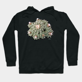 Lophophora Williamsii Cluster Hoodie